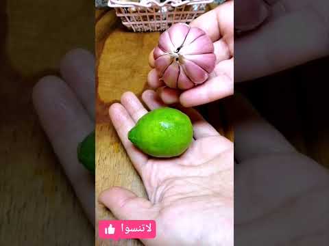 علاج القمل نهائيا