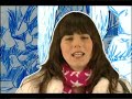 The Fiery Furnaces - Tropical Iceland