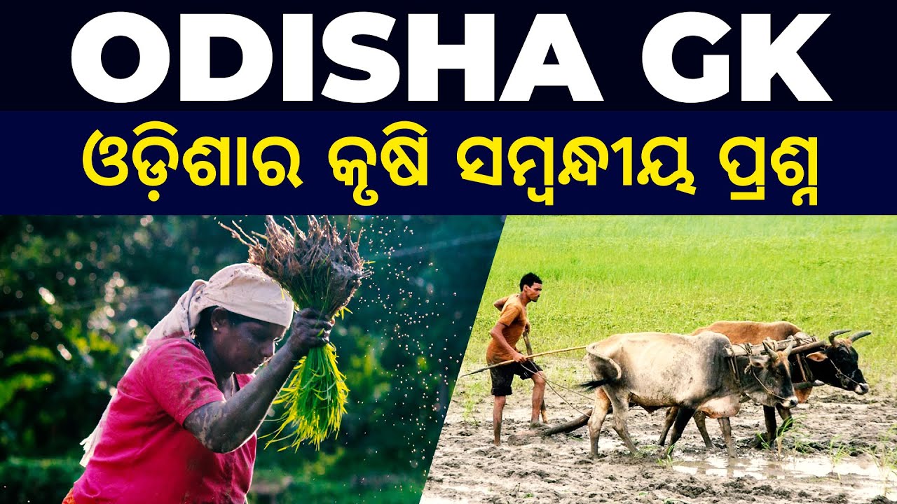 Agriculture of Odisha MCQs  | ଓଡ଼ିଶାର କୃଷି ସମ୍ବନ୍ଧୀୟ ପ୍ରଶ୍ନ | Odisha GK