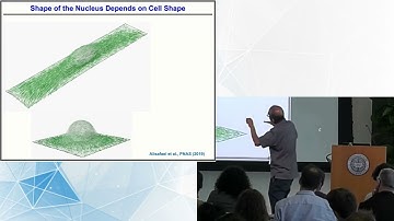 Forces in Genome Organization | 2024 Genome Architecture and Function Workshop