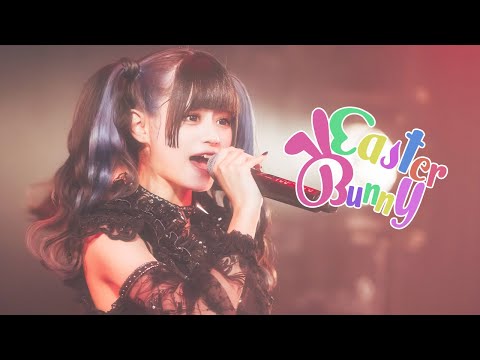 " Easter Bunny" LIVE at clubasia - March 21, 2024 -LADYBABY-