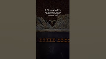سورة الزمر بتلاوة الشيخ ماهر المعيقلي #قران_كريم #سورة_الزمر #الشيخ_ماهر_المعيقلي #fyp