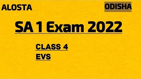 CLASS 4 EVS SA1 EXAM 2022