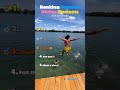 Ranking The FUNNIEST Diving Moments Ever 😂🌊