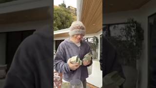 PLOHOYPAREN В LA #рек #music #youtube #plohoyparen #plohoyparentypebeat #wood