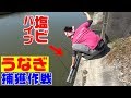 【衝撃のラスト】川に塩ビパイプを突っ込んでうなぎを捕まえようとした結果…