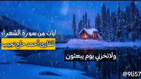 تلاوة خاشعة 😭🍁 يوم لاينفع مالٌ ولا بنون 💔 القارئ أحمد حاج نجيب ❤️