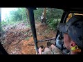 John deere 200lc clearing path through woods