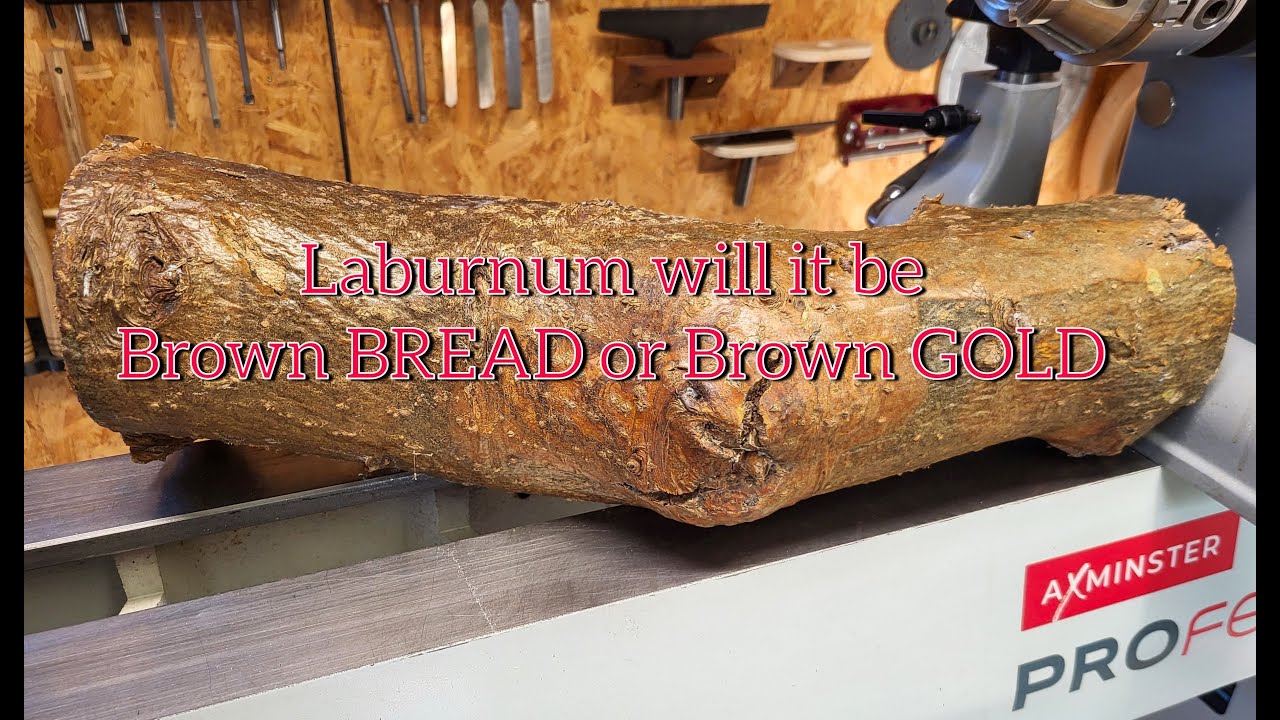 Woodturning Will it be BROWN GOLD or BROWN BREAD. 