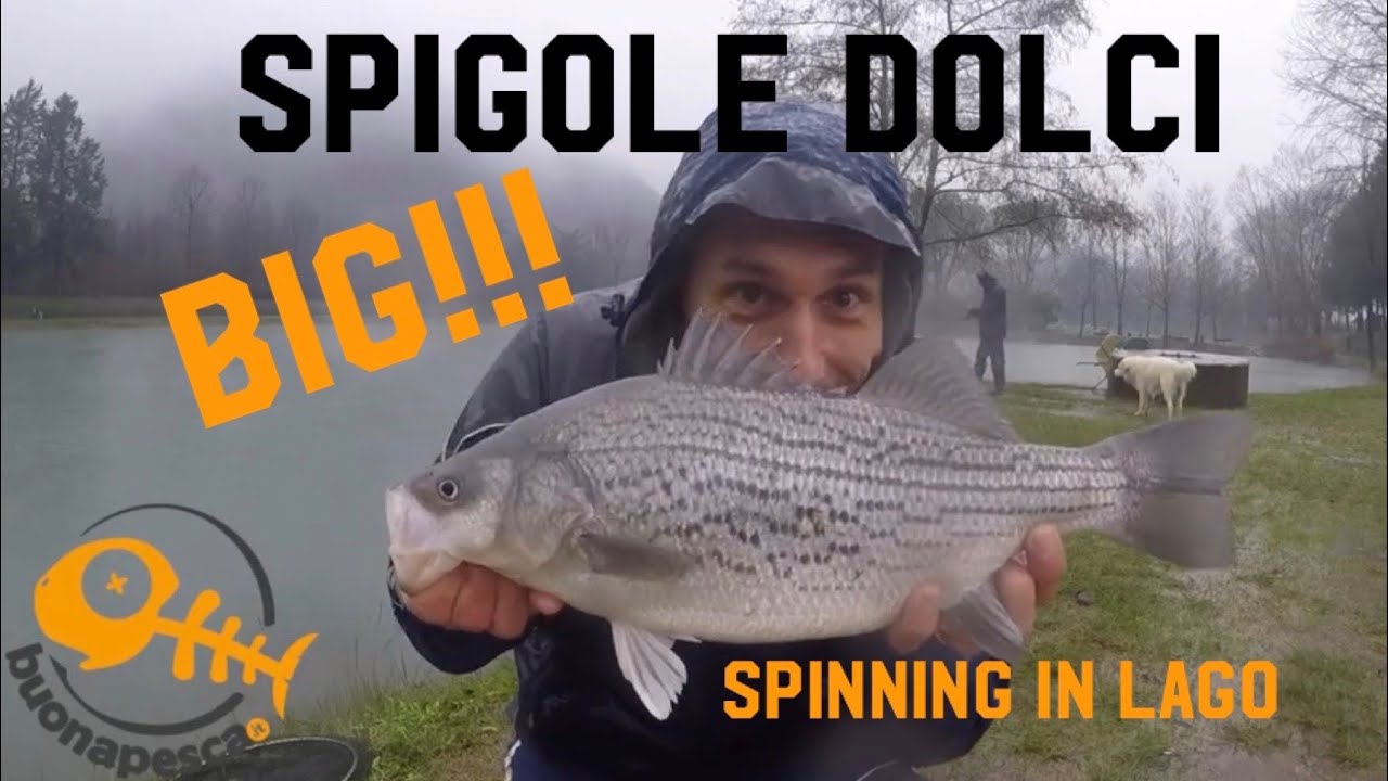 MEPPS AGLIA Argento | Mare E Cielo - Foto 7