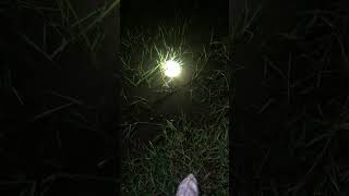 From Dawn Till Dusk Farm Life Never Stops.