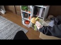 Today's My happy Cockatiel | Too much love stalking bird | 愛が重いストーカー オカメインコのカメちゃん