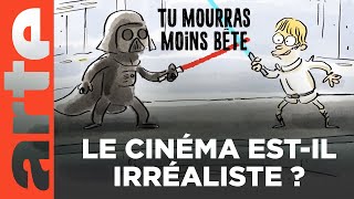 🎬 Le cinéma | Compilation | Tu mourras moins bête | ARTE