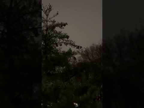 Viento extremo, mini tornado en Maryland. Maneja con cuidado