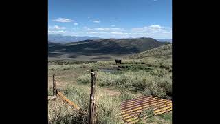 Rosevear Ranch White River, Nevada. -  Grazing Allotments