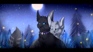 Ashfur X Scourge