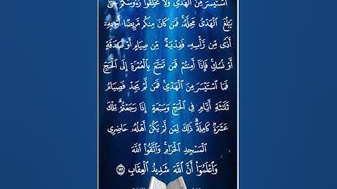 وأتموا الحج والعمرة لله فإن أحصرتم فما استيسر من الهدي ولا تحلقوا رءوسكم حتى ۞ سورة البقرة۞ المنشاوي