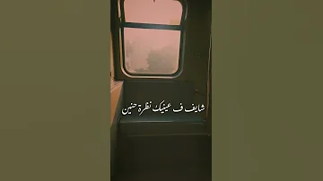 كل اللي معاك ف الصورة غاب حالات واتساب 