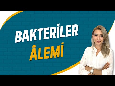 Video: Lizozim en çok hangi bakteri türlerinde etkilidir?