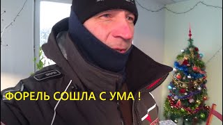 РЫБАЛКА В ПОДМОСКОВЬЕ ФОРЕЛЬ СОШЛА С УМА!