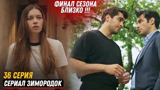 ФИНАЛ СЕЗОНА! Турецкий сериал Зимородок 36 серия русская озвучка