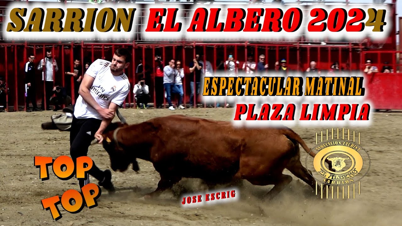 👌-4K SARRION EL ALBERO 2024