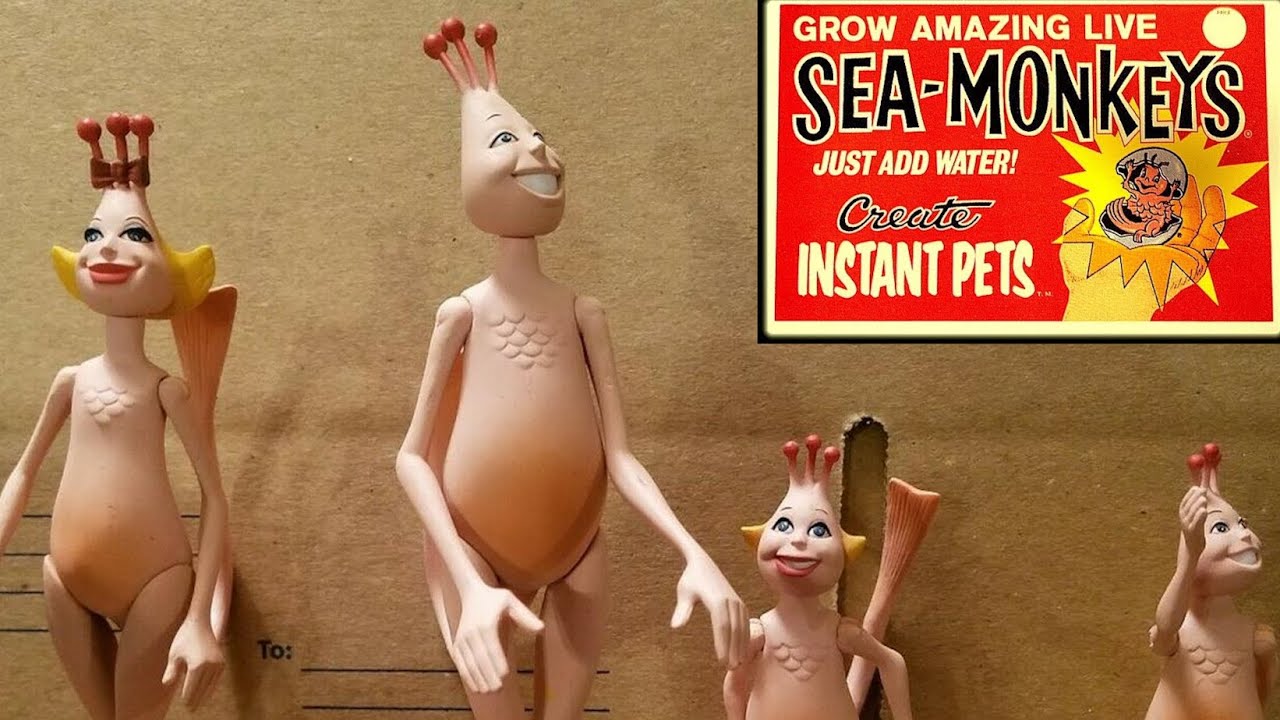 その他 The Amazing Live Sea-Monkeys Mom Amazing Live Sea Monkeys | San Francisco Documentary Festival