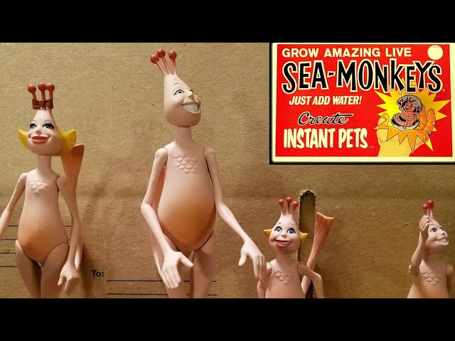 What Exactly Is: Sea Monkey | The 