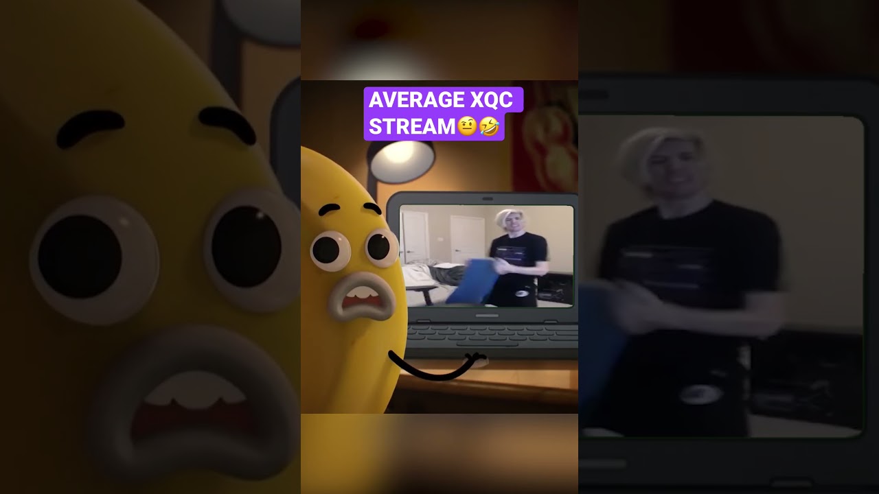 XQC IS UNHINGED🤣 #XQC #botisimo #twitchclips #contentcreation #twitchtips #youtubetips #gaming