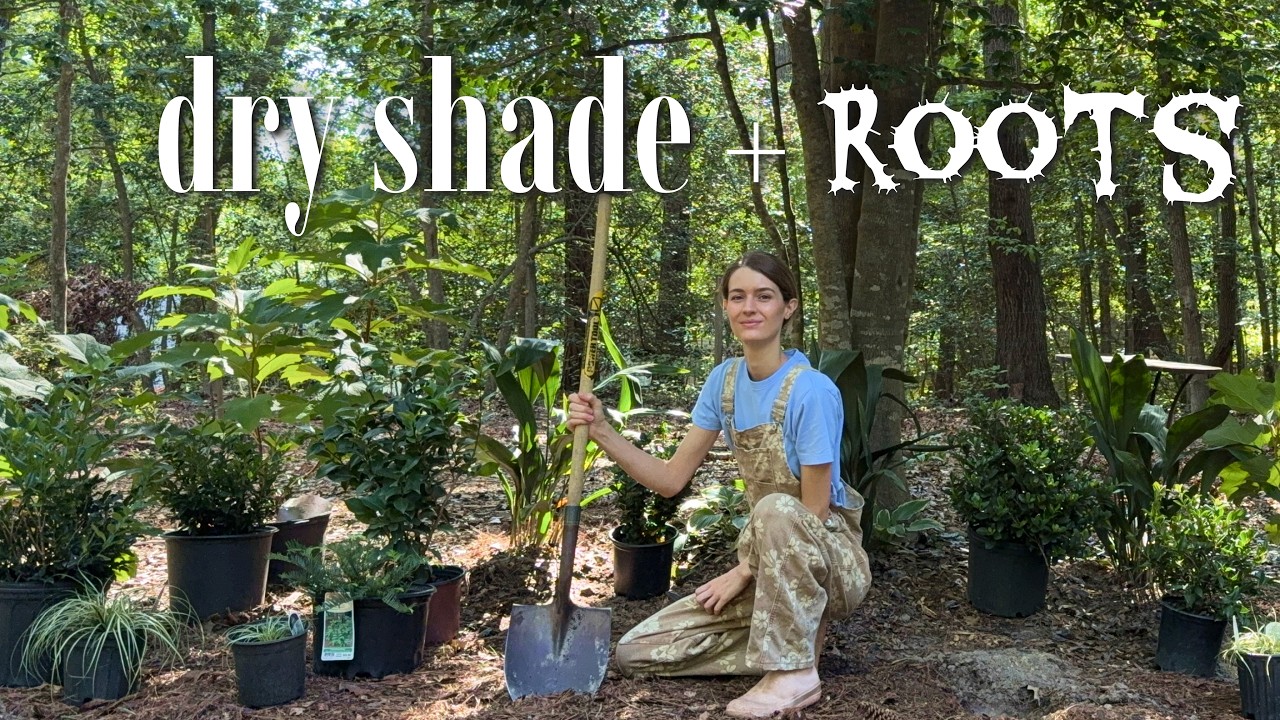 Video preview: This looks like a simple shade bed. It isn’t.