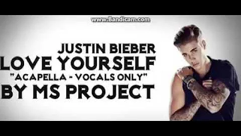Justin Bieber Love Yourself Vocals Only