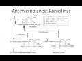 Antimicrobianos: Isoxazolilpeniclinas, Aminopenicilinas y Penicilinas antipseudomonas || Parte 2 ||