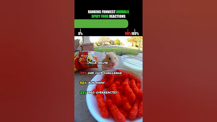 Ranking Funniest Animals Spicy Food Reactions🤣
