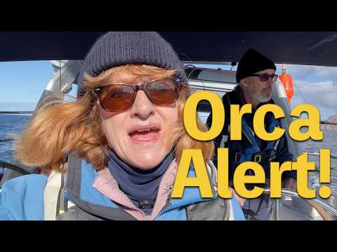 Beware of ORCAS! Part 2: Sailing SOUTH through Orca Territory to Portugal | Ep 276