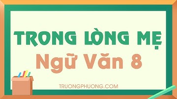Bài giảng Trong lòng mẹ - Ngữ văn 8