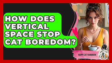 How Does Vertical Space Stop Cat Boredom? - Happy Cat Handbook