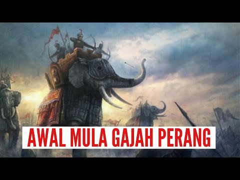 Video: Gajah perang India: deskripsi, sejarah, dan fakta menarik