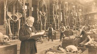 The Last Curator Who Catalogued the Smithsonian Giant Wing — What He Said Was Removed by 1894
