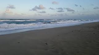 Stuart Florida