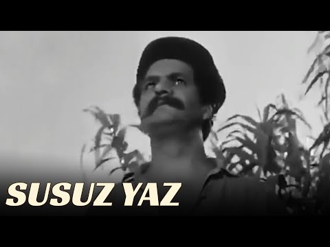 Düşmanlığın Böylesi | Susuz Yaz