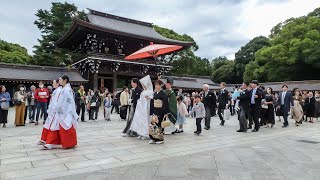 Shinto Wedding & Grand Meiji shrine, Tokyo.