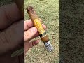 Perdomo Champagne 10th Anniversary Robusto Creamy Stick !