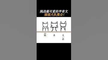 老祖宗筆下的貓貓大隊ฅ•ω•ฅ集合！來自3000年前的可愛甲骨文～ have you seen "kitties" like these? #hanzi #oraclebonescript #博物漢字