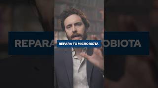 La DIETA para REPARAR tu MICROBIOTA Information
