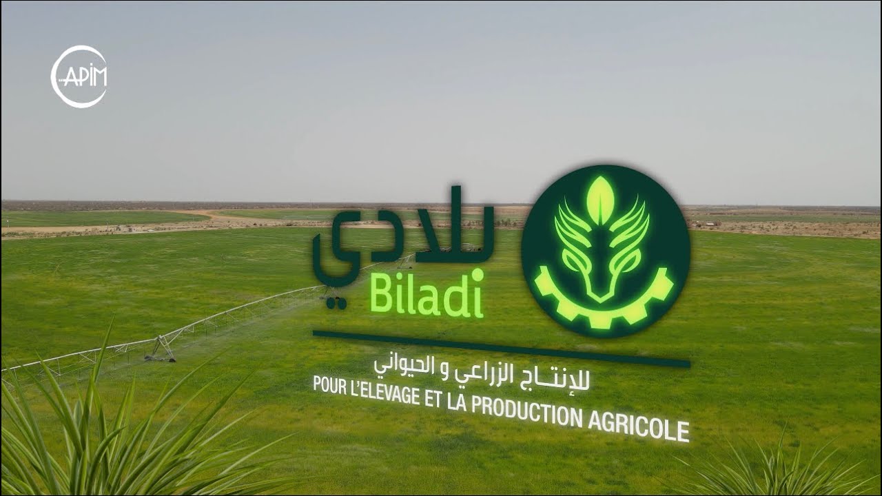 Investment Success Stories: 🌾Biladi