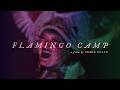 Flamingo Camp | Official Trailer