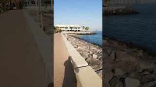 Kuwait viralshort youtubeshorts shortvideo subscribe like viral ytshort shorts short