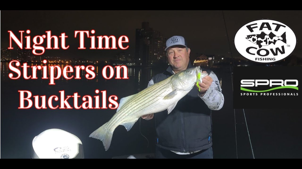 Striped Bass Fishing with Bucktails and Fat Cow Jig Strips