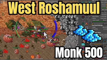 Tibia Monk Solo 500 West Roshamuul