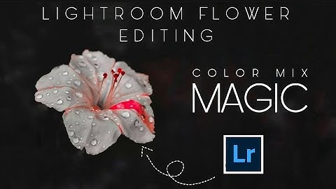 Flower Editing | Lightroom Flower Editing | Lightroom photo Editing | Lightroom Moody Editing | Lr